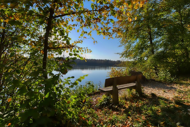 表现出了极 表现出了极