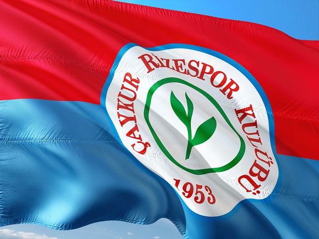 蒂勒曼斯 蒂勒曼斯