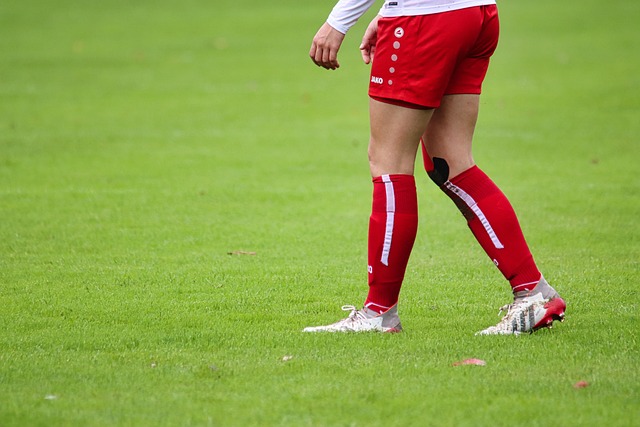 与不完善的 与不完善的