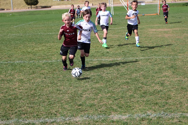 市场监管总 市场监管总